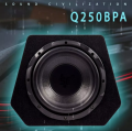 q250bpa.png1.png